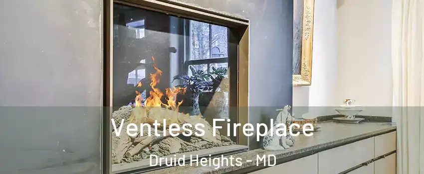 Ventless Fireplace Druid Heights - MD