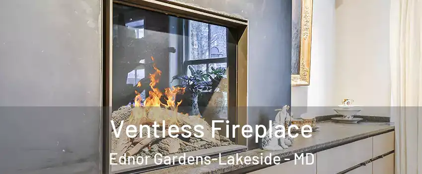 Ventless Fireplace Ednor Gardens-Lakeside - MD