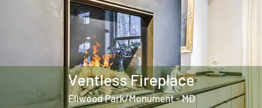 Ventless Fireplace Ellwood Park/Monument - MD