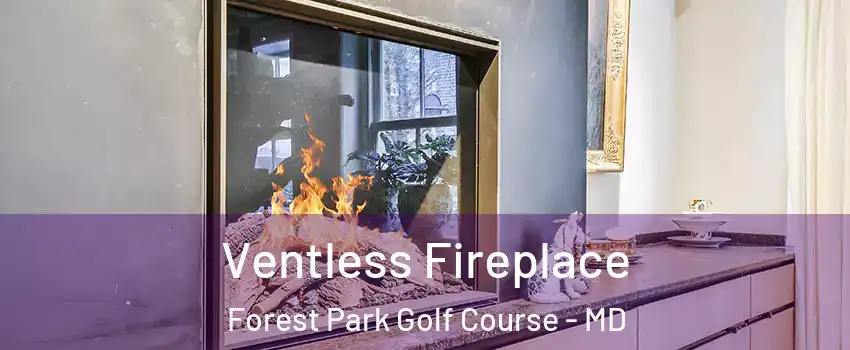 Ventless Fireplace Forest Park Golf Course - MD