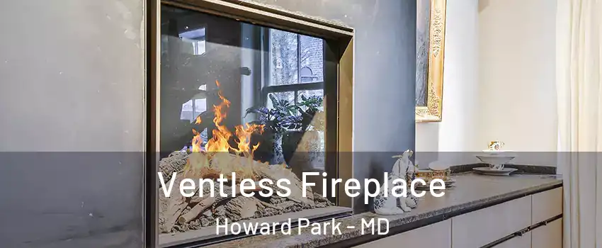 Ventless Fireplace Howard Park - MD