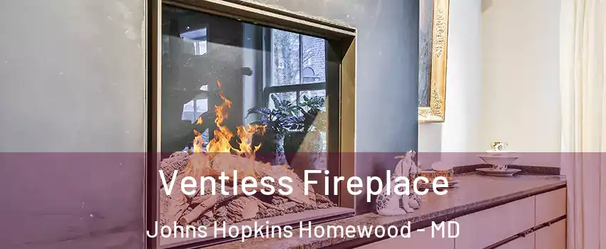 Ventless Fireplace Johns Hopkins Homewood - MD