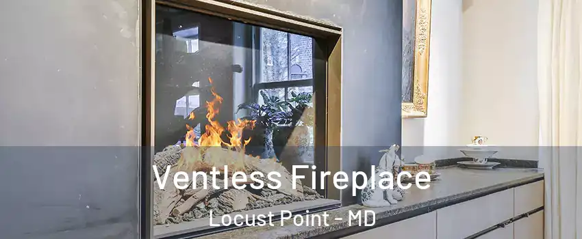 Ventless Fireplace Locust Point - MD