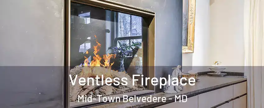 Ventless Fireplace Mid-Town Belvedere - MD