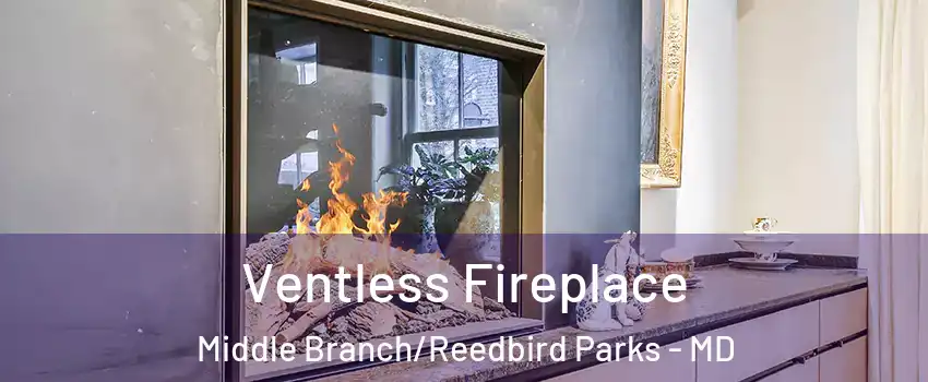 Ventless Fireplace Middle Branch/Reedbird Parks - MD