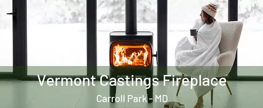 Vermont Castings Fireplace Carroll Park - MD
