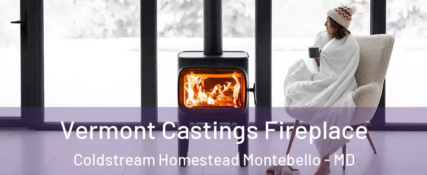 Vermont Castings Fireplace Coldstream Homestead Montebello - MD