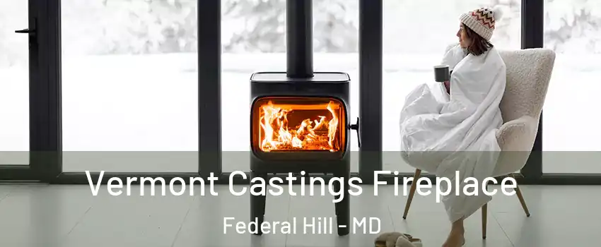 Vermont Castings Fireplace Federal Hill - MD