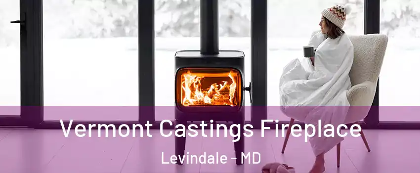 Vermont Castings Fireplace Levindale - MD