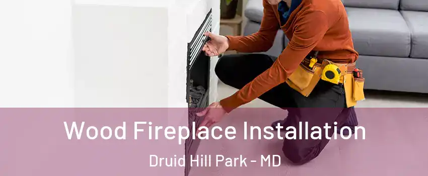 Wood Fireplace Installation Druid Hill Park - MD