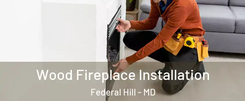 Wood Fireplace Installation Federal Hill - MD