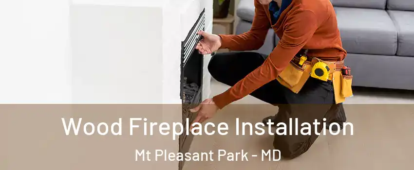 Wood Fireplace Installation Mt Pleasant Park - MD