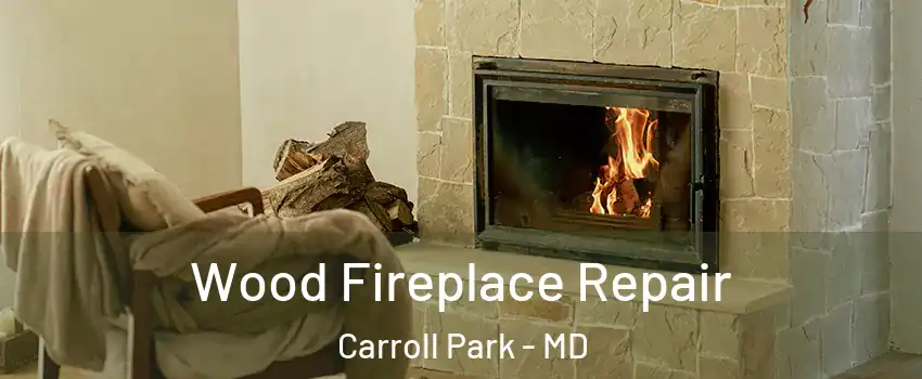 Wood Fireplace Repair Carroll Park - MD