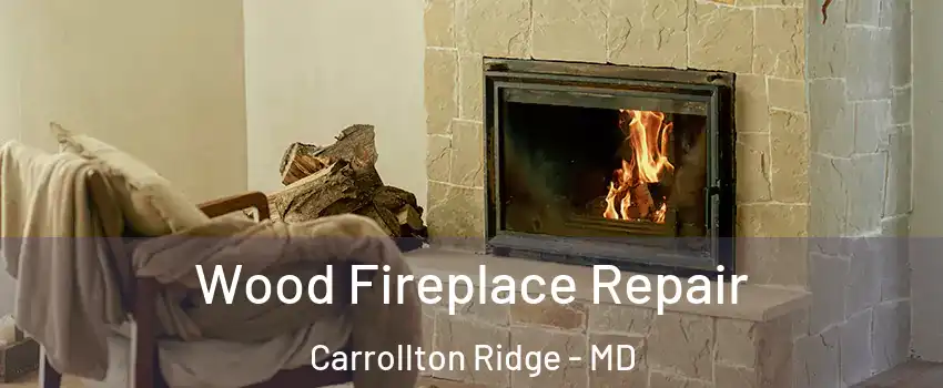 Wood Fireplace Repair Carrollton Ridge - MD