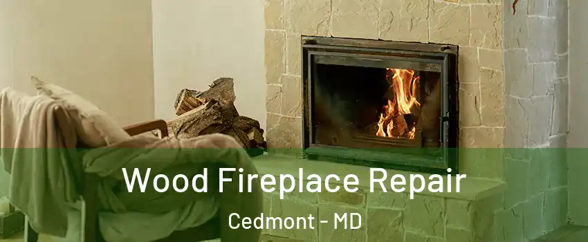 Wood Fireplace Repair Cedmont - MD