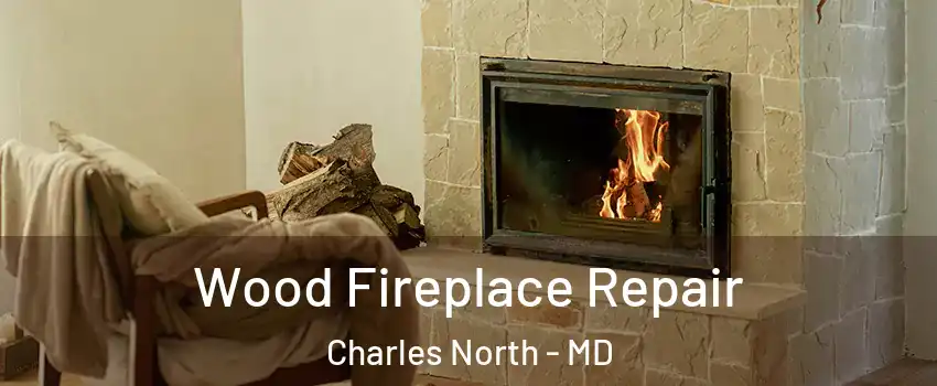 Wood Fireplace Repair Charles North - MD