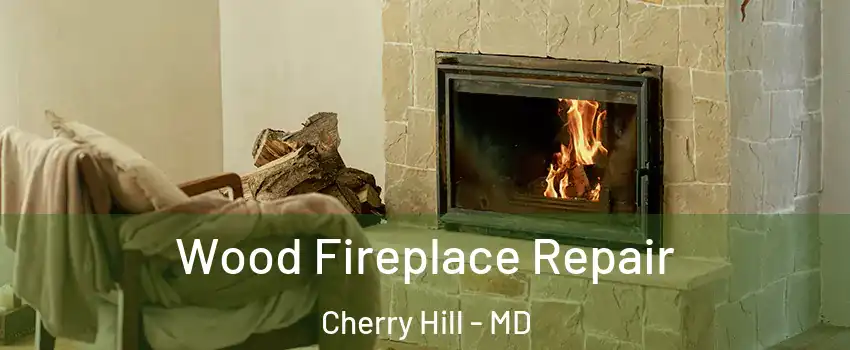Wood Fireplace Repair Cherry Hill - MD