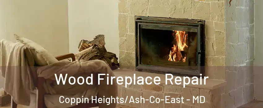 Wood Fireplace Repair Coppin Heights/Ash-Co-East - MD