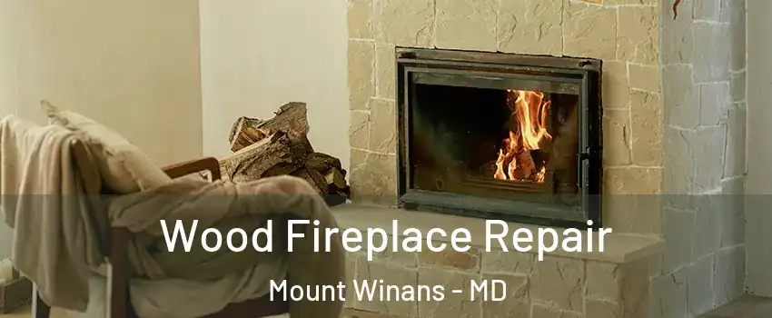 Wood Fireplace Repair Mount Winans - MD