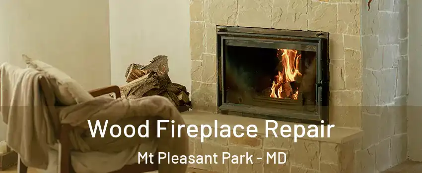Wood Fireplace Repair Mt Pleasant Park - MD