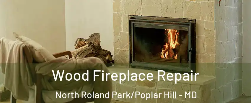 Wood Fireplace Repair North Roland Park/Poplar Hill - MD