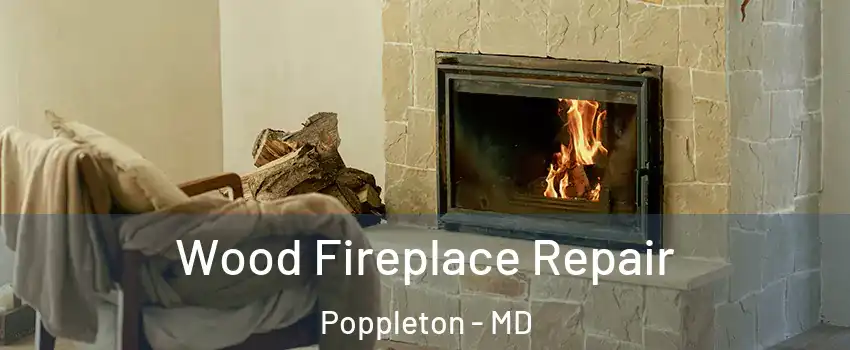 Wood Fireplace Repair Poppleton - MD