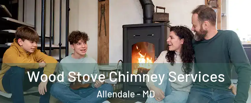 Wood Stove Chimney Services Allendale - MD
