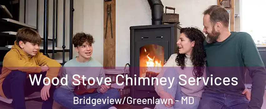 Wood Stove Chimney Services Bridgeview/Greenlawn - MD