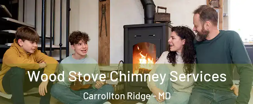 Wood Stove Chimney Services Carrollton Ridge - MD