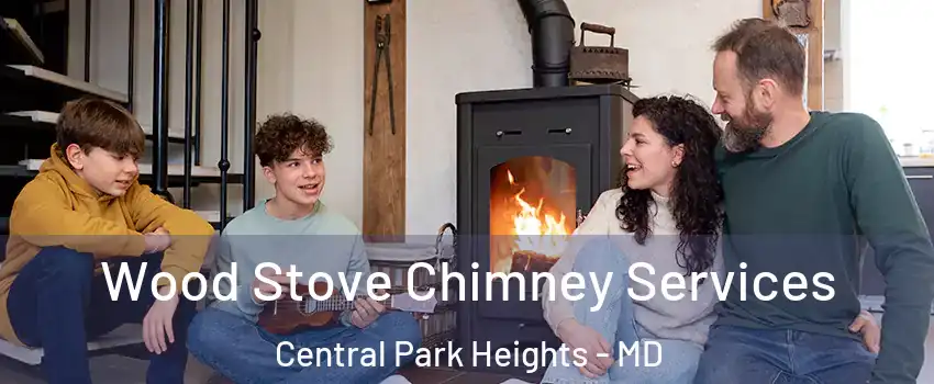 Wood Stove Chimney Services Central Park Heights - MD