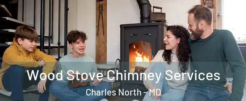 Wood Stove Chimney Services Charles North - MD