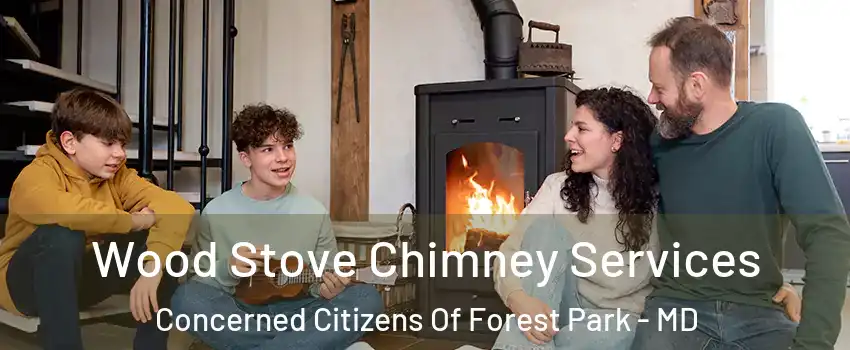 Wood Stove Chimney Services Concerned Citizens Of Forest Park - MD