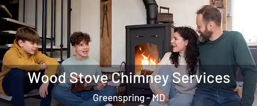 Wood Stove Chimney Services Greenspring - MD