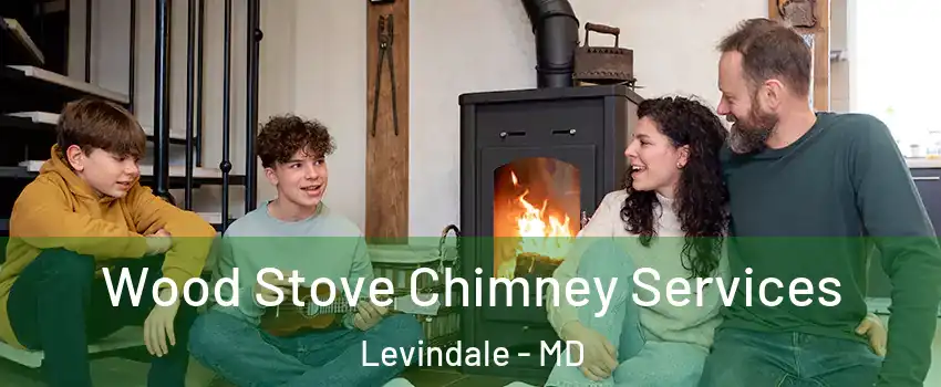 Wood Stove Chimney Services Levindale - MD