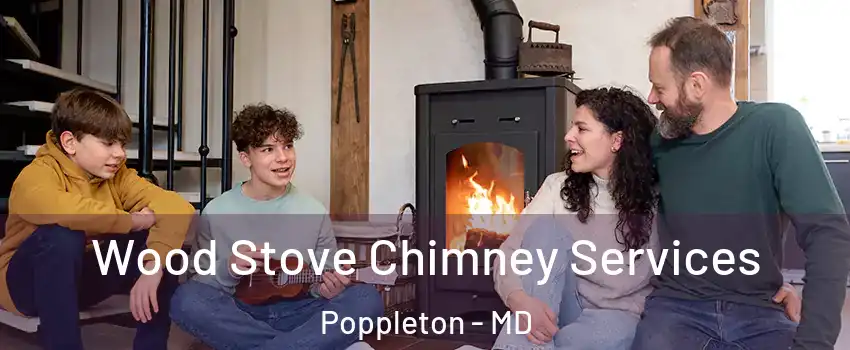 Wood Stove Chimney Services Poppleton - MD