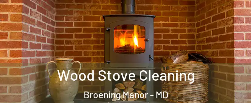Wood Stove Cleaning Broening Manor - MD
