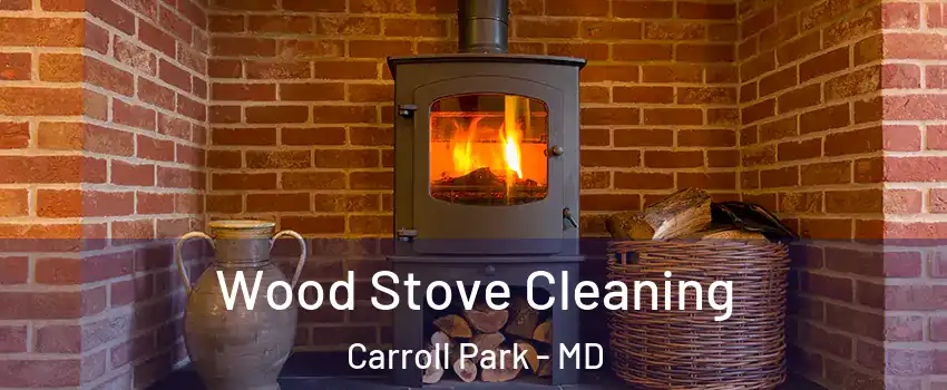 Wood Stove Cleaning Carroll Park - MD