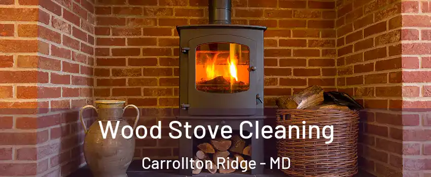 Wood Stove Cleaning Carrollton Ridge - MD