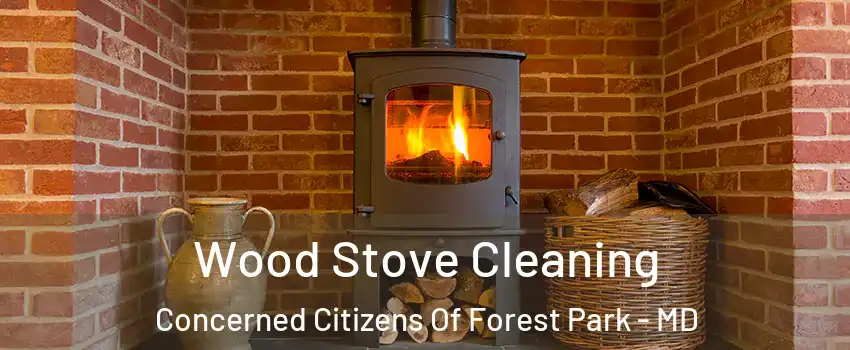 Wood Stove Cleaning Concerned Citizens Of Forest Park - MD