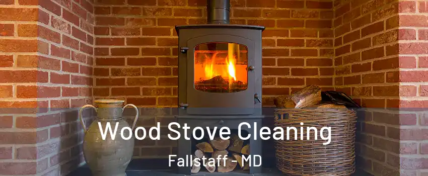Wood Stove Cleaning Fallstaff - MD