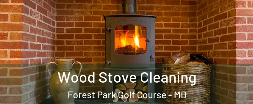 Wood Stove Cleaning Forest Park Golf Course - MD