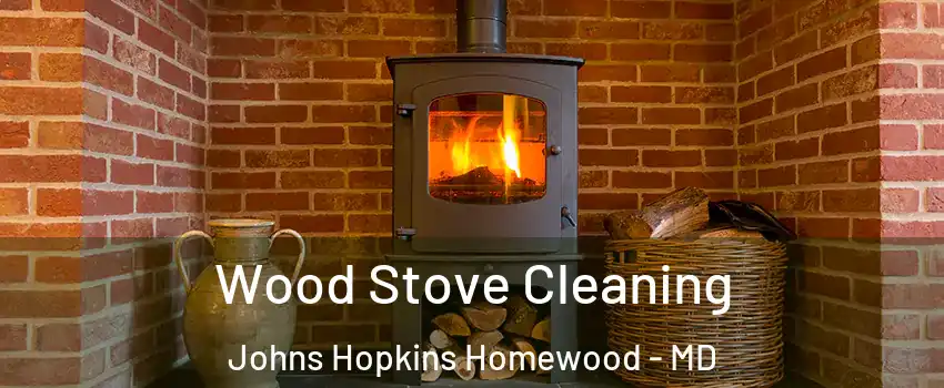 Wood Stove Cleaning Johns Hopkins Homewood - MD