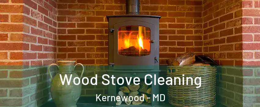 Wood Stove Cleaning Kernewood - MD