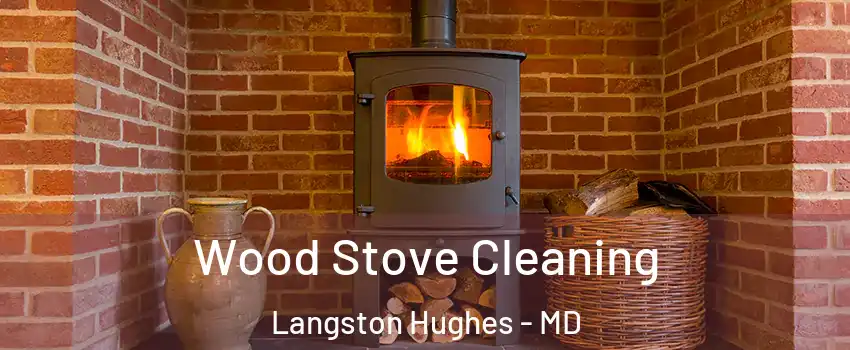 Wood Stove Cleaning Langston Hughes - MD