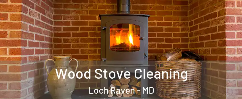 Wood Stove Cleaning Loch Raven - MD