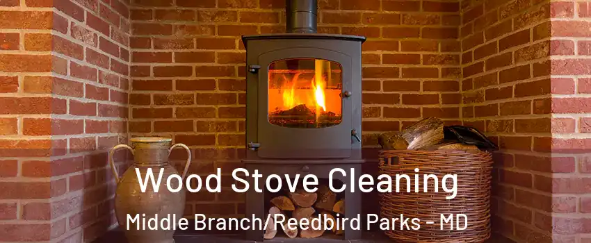 Wood Stove Cleaning Middle Branch/Reedbird Parks - MD