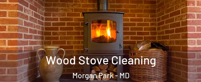 Wood Stove Cleaning Morgan Park - MD