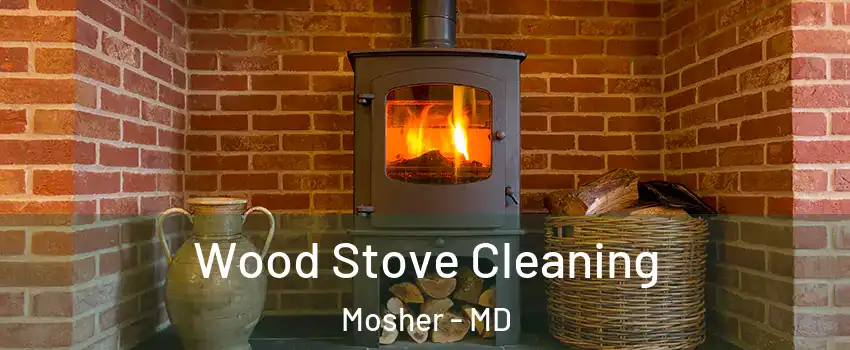 Wood Stove Cleaning Mosher - MD