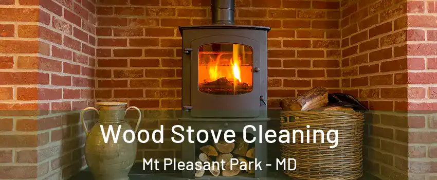Wood Stove Cleaning Mt Pleasant Park - MD