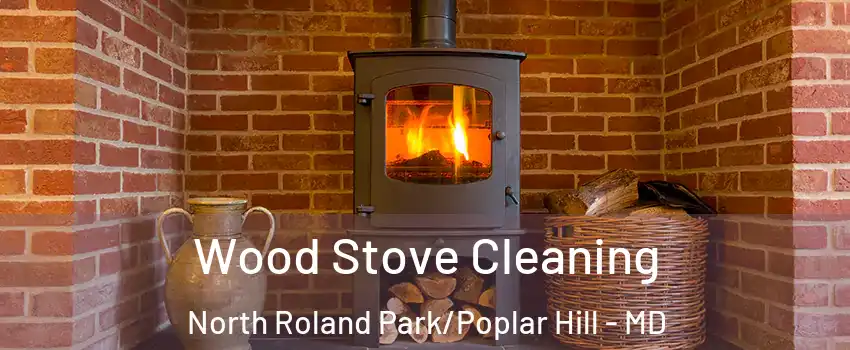 Wood Stove Cleaning North Roland Park/Poplar Hill - MD